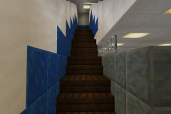 Year8stairs